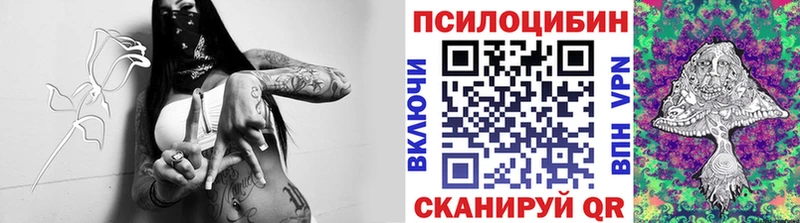 Псилоцибиновые грибы Psilocybine cubensis  Купить где  Севск 